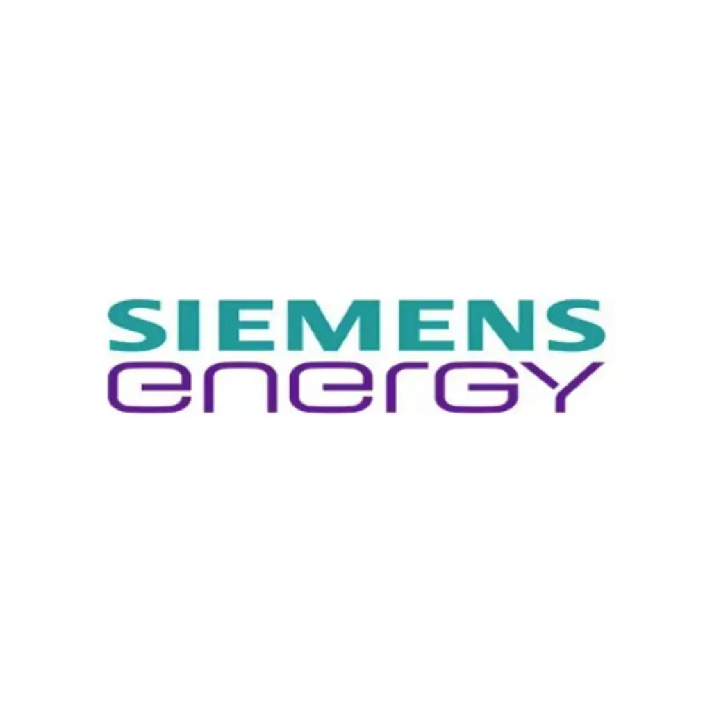 Thomas_Cabjolsky_Hofer-cabioniq-microsoft365_verstehen-referenzen-siemens